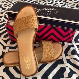 Seychelles size 7 leather sandal New w/box